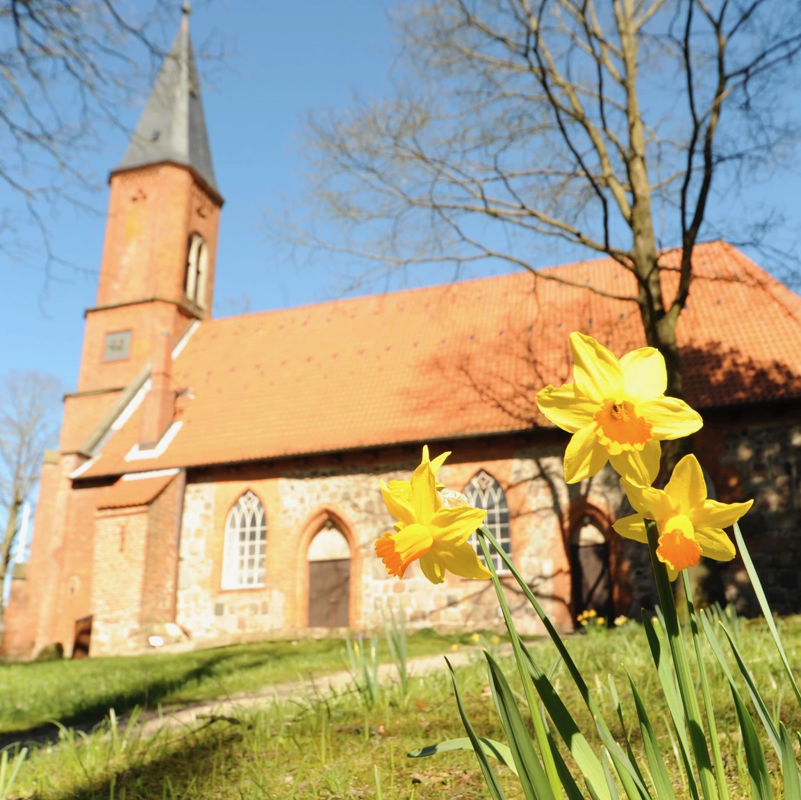 Kirche Schönwalde
